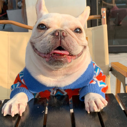 dog sweater old navy