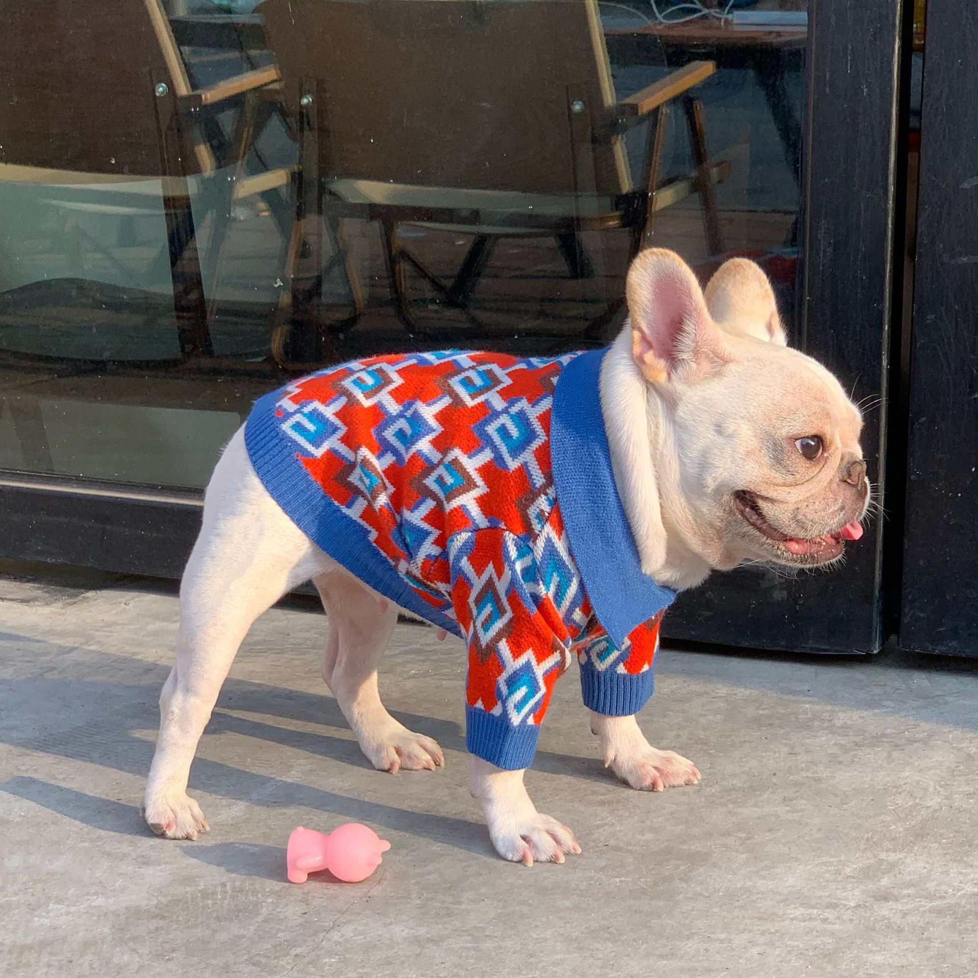 crochet dog sweater small dog breeds