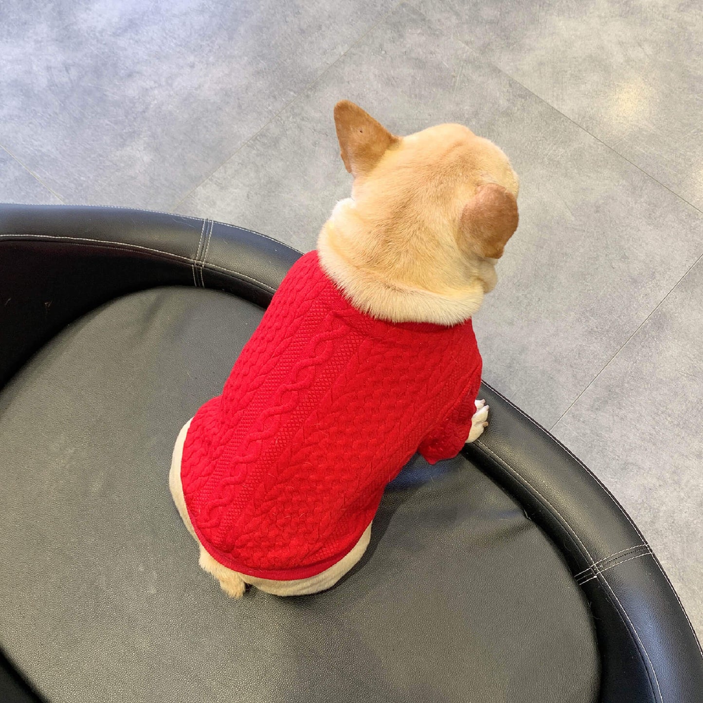 Medium Dog Super WARM Pullover Sweater