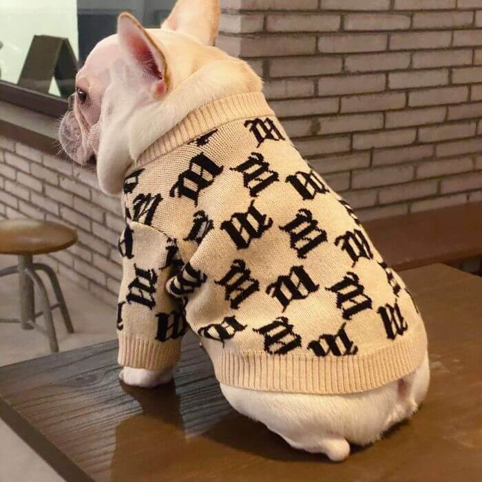 Dog winter stylish beige pullover sweater jumpers for small medium dogs by Frenchiely 01