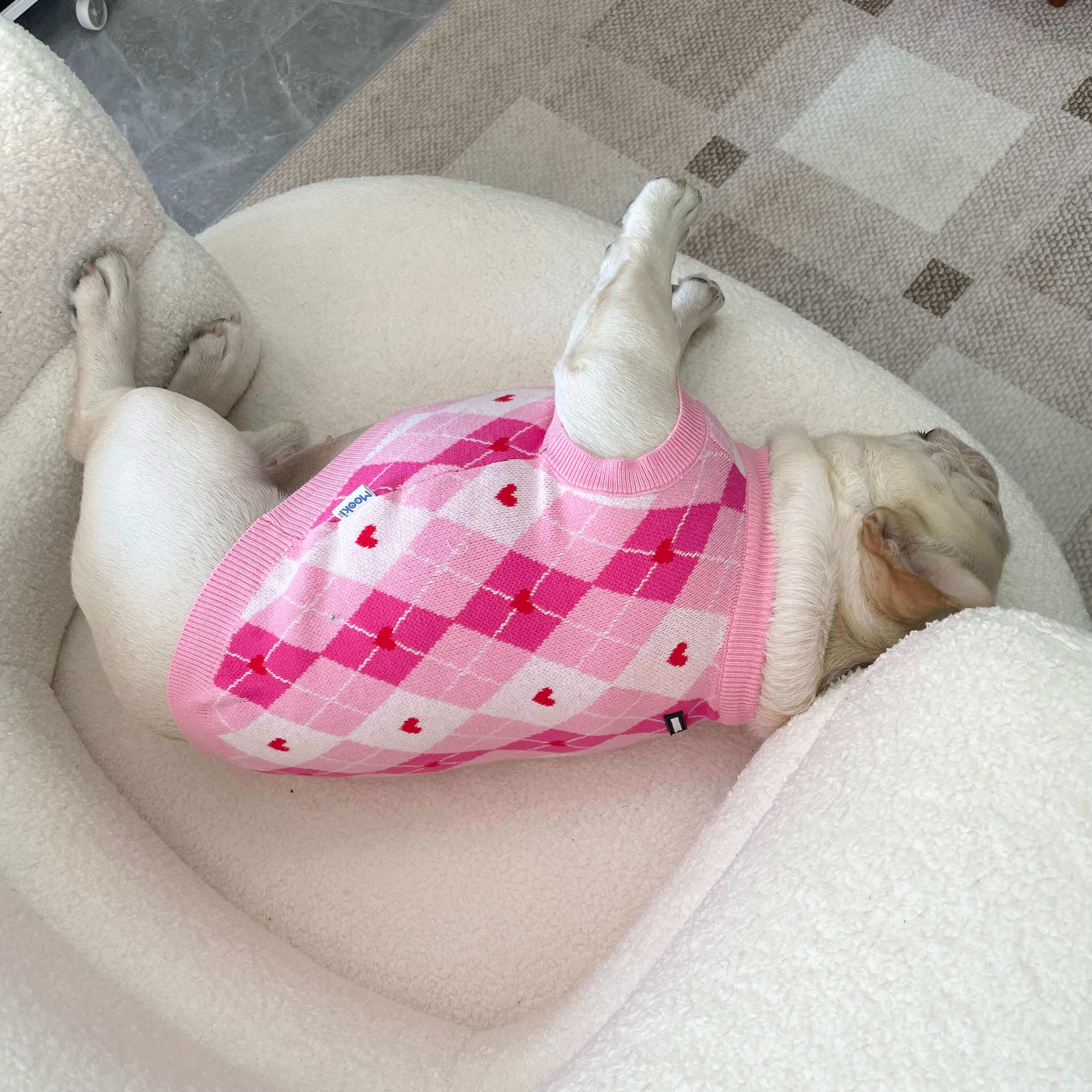 dog v-neck pullover sweater for small medium dogs by Frenchiely 