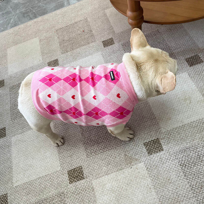 dog sweater with square patterns