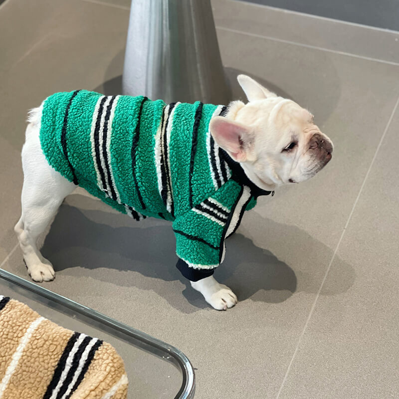 dog green striped jacket coat for small medium dogs by Frenchiely
