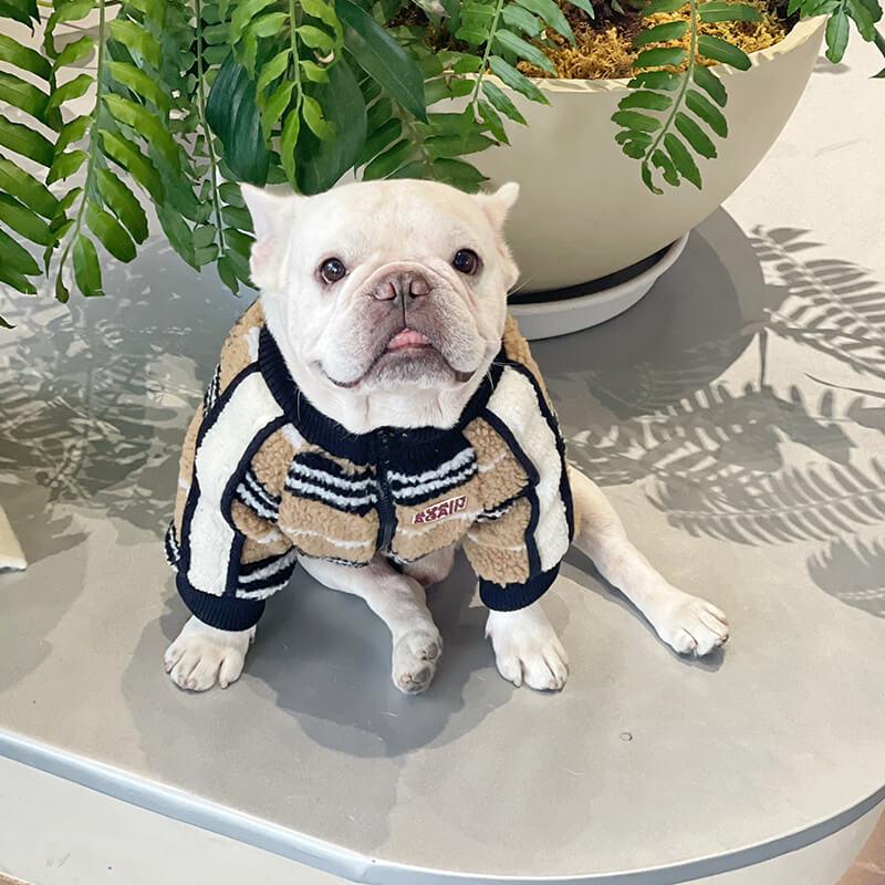 dog winter warm striped jacket coat for small medium dogs by Frenchiely