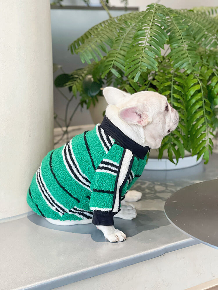 dog winter warm striped jacket coat for small medium dogs by Frenchiely
