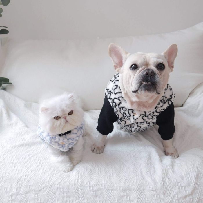 Dog Winter Jacket Coat for French Bulldogs BY FRENCHIELY 