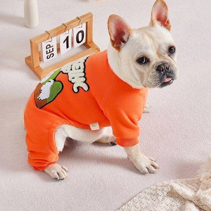 Dog Warm Pajamas in Orange for small medium dogs by Frenchiely 