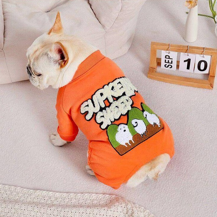 Dog Warm Pajamas in Orange for small medium dogs by Frenchiely 