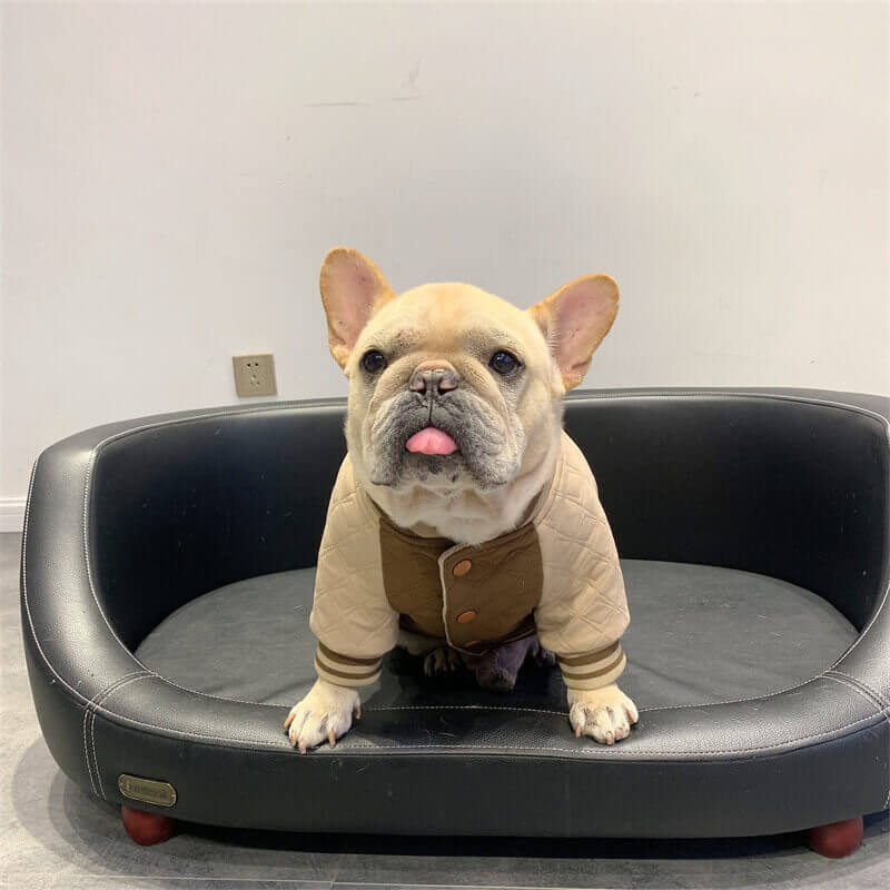 Dog Warm Brown Coat for medium large dogs by Frenchiely