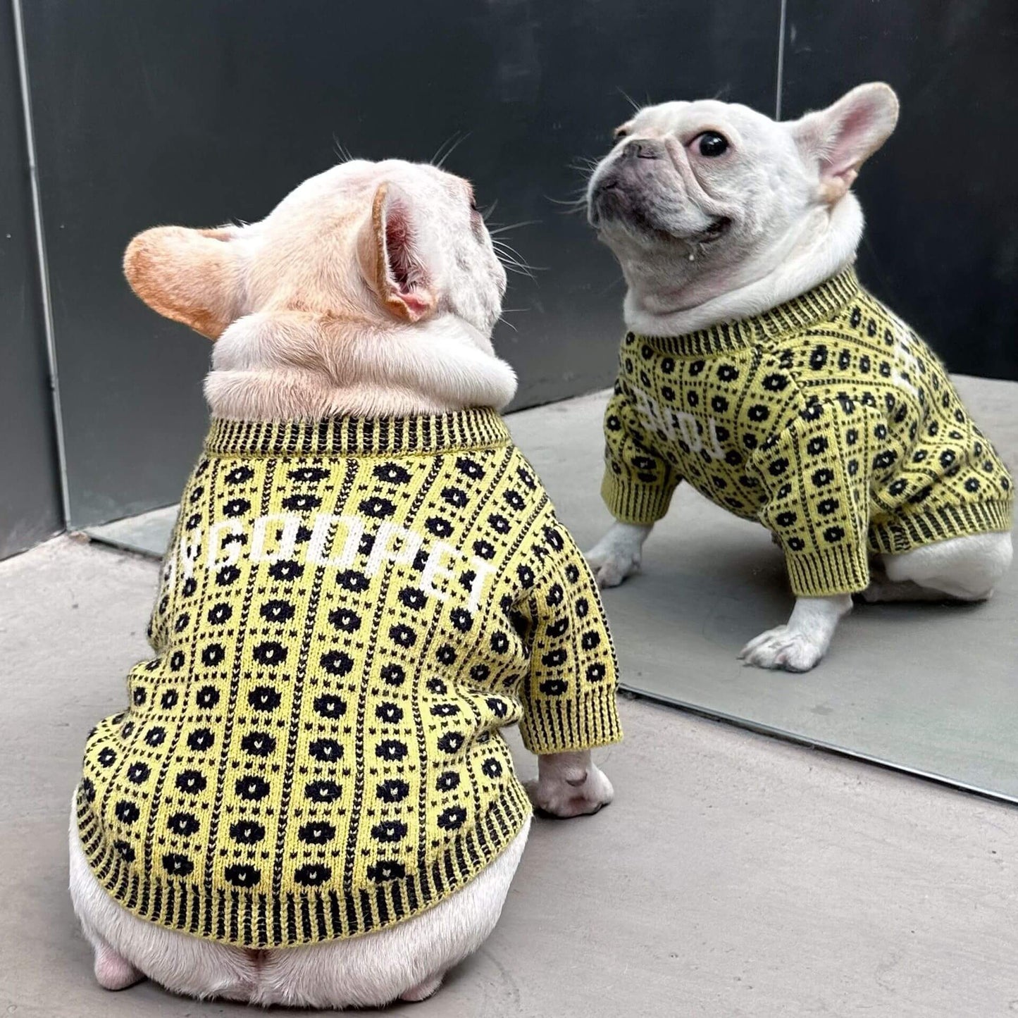 Dog stylish Pullover Sweater for medium dog breeds 