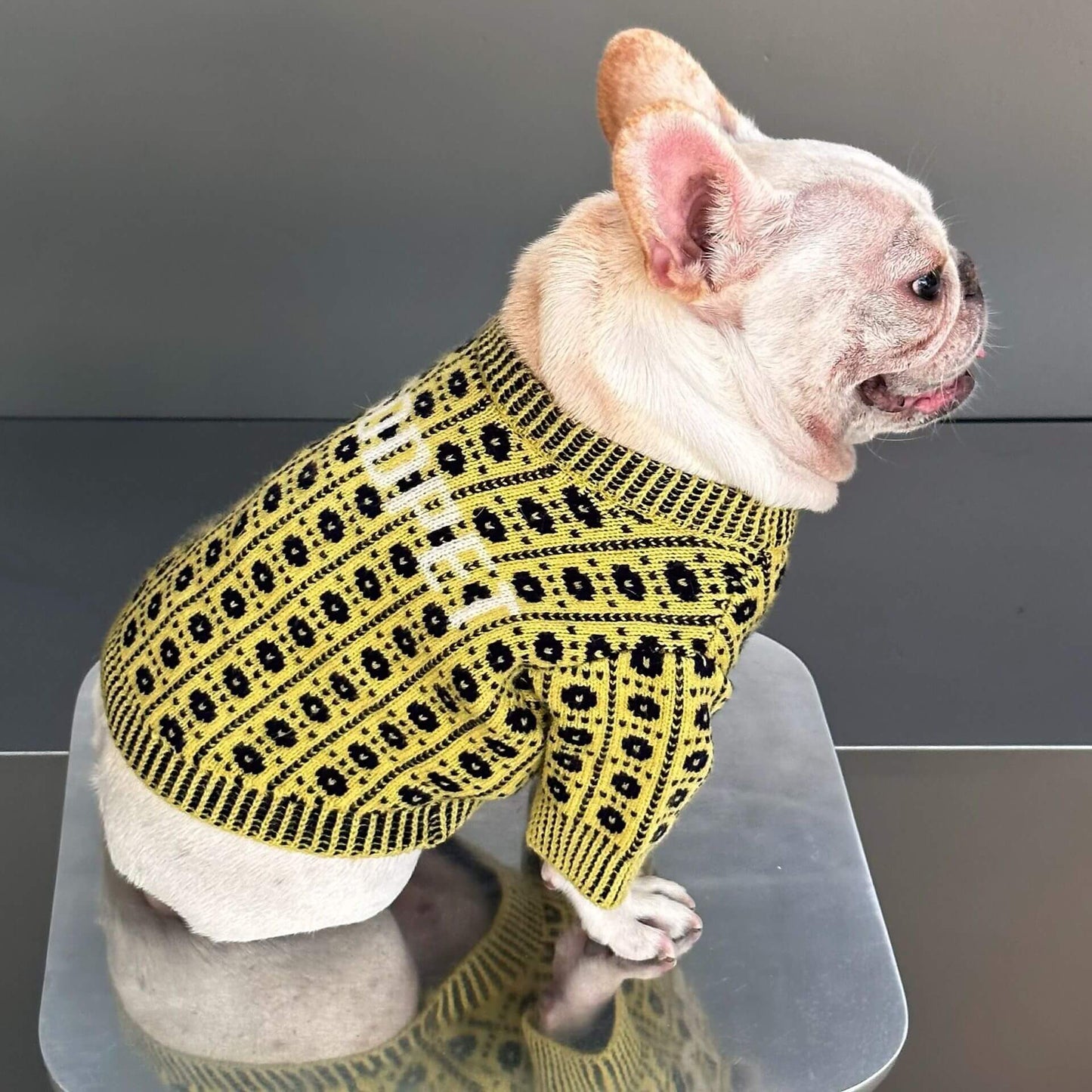 Dog stylish Pullover Sweater for medium dog breeds 