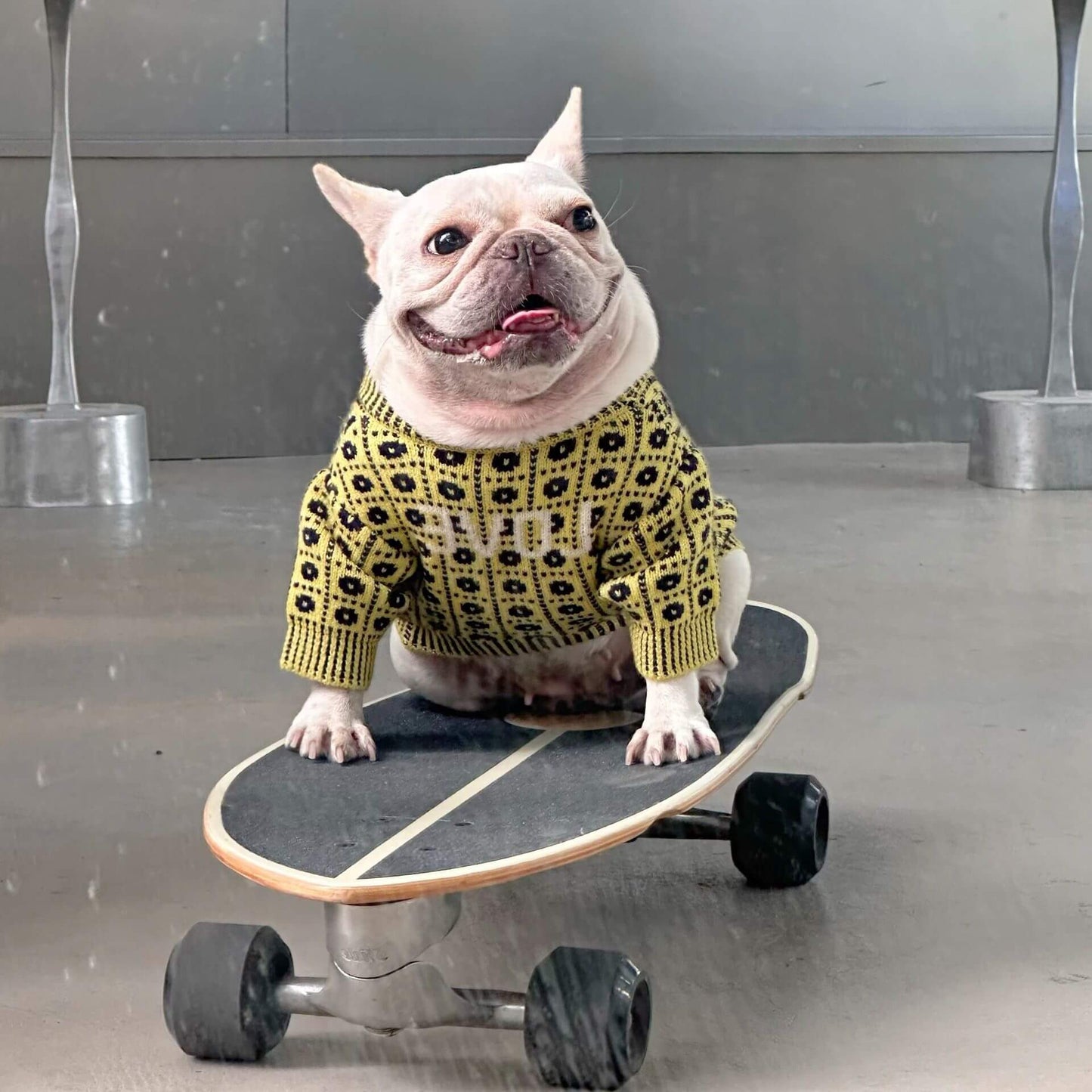 Stylish Dog Pullover Sweater for small medium dogs 