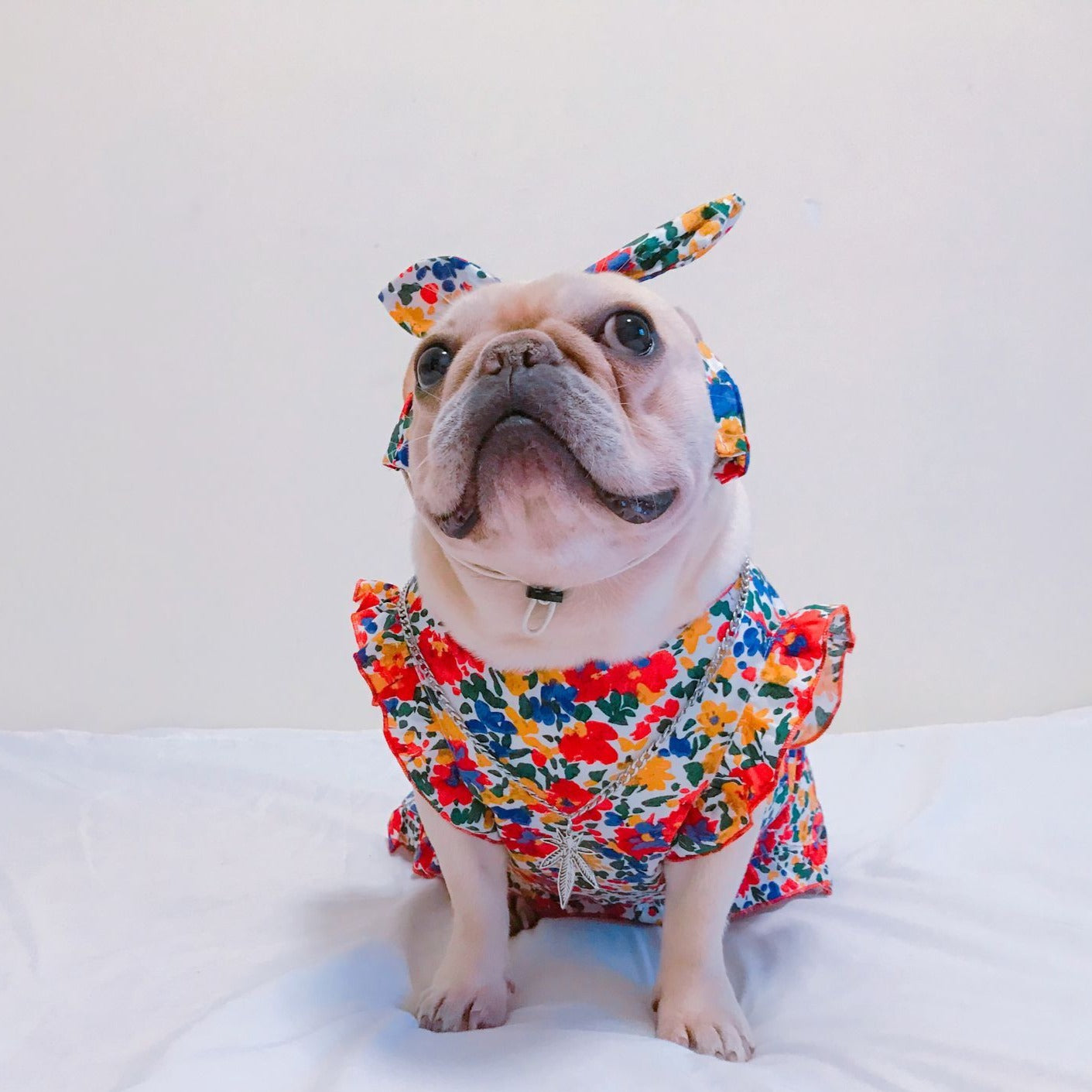 dog retro vintage floral dress - Frenchiely