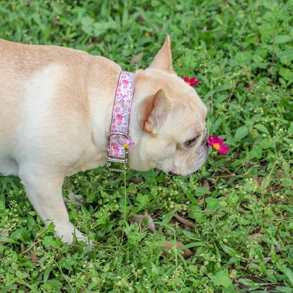 Floral Dog Collar for Female Dogs - Frenchiely