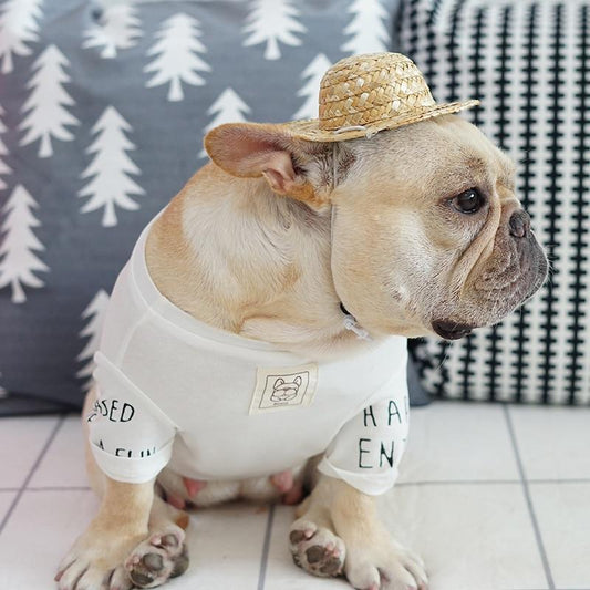 French Bulldog Straw Hat - Frenchiely