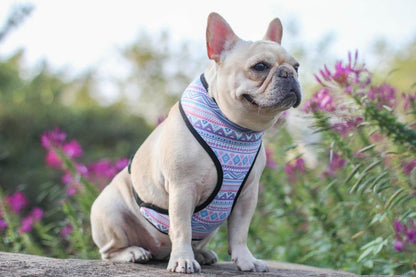 Dog Bohemian Vest Harness for Medium Dogs - Frenchiely