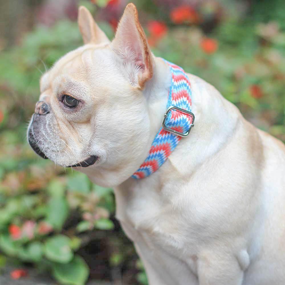 Stylish Adjustable Dog Collar for Small Dogs - Frenchiely