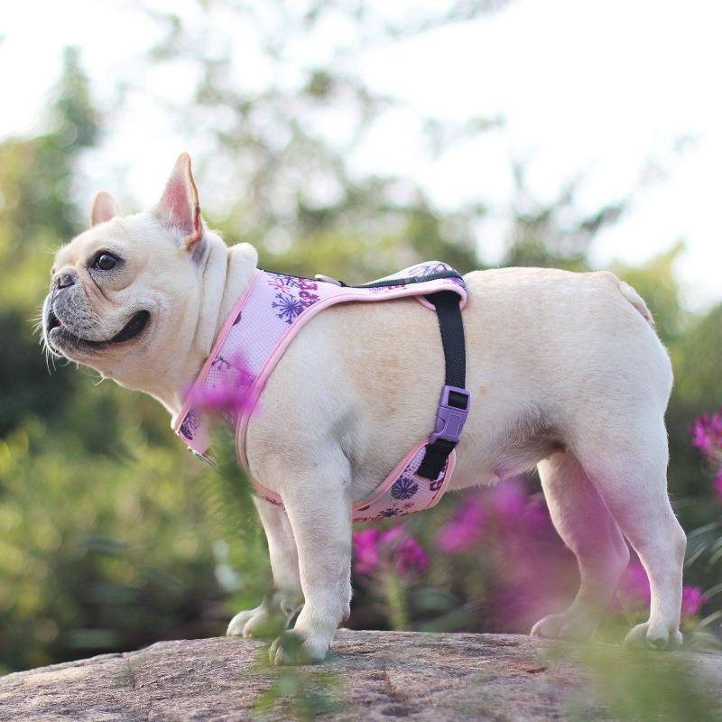 Purple Dog Harness Vest Breathable Mesh - Frenchiely