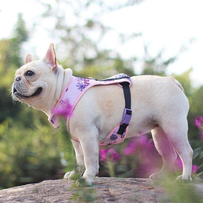 Purple Dog Harness Vest Breathable Mesh - Frenchiely