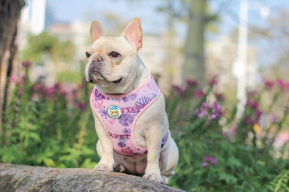 Purple Dog Harness Vest Breathable Mesh - Frenchiely