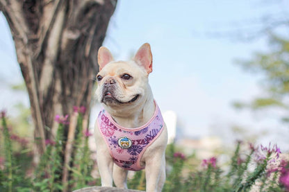 Purple Dog Harness Vest Breathable Mesh - Frenchiely