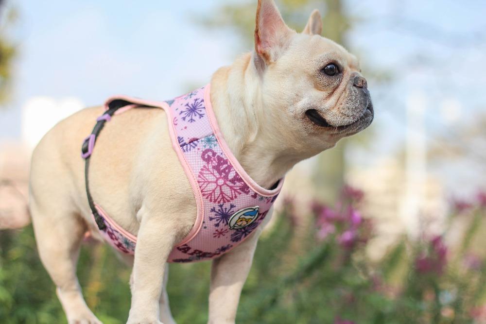 Purple Dog Harness Vest Breathable Mesh - Frenchiely