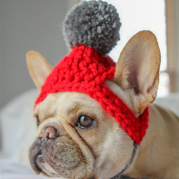 Dog Pom Pom Winter Knitted Hat for French Bulldogs - Frenchiely