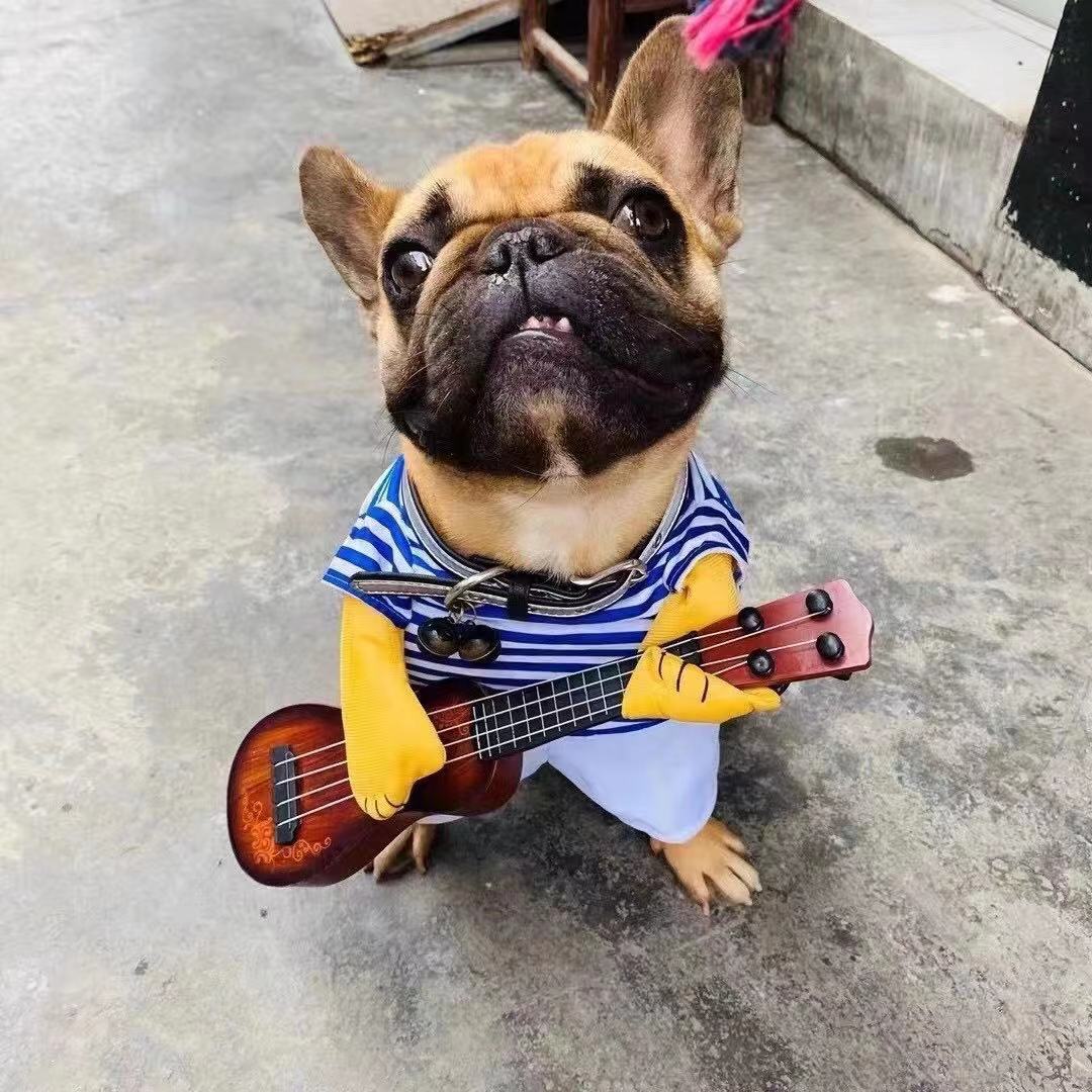 Dog Guitar Costume - Frenchiely
