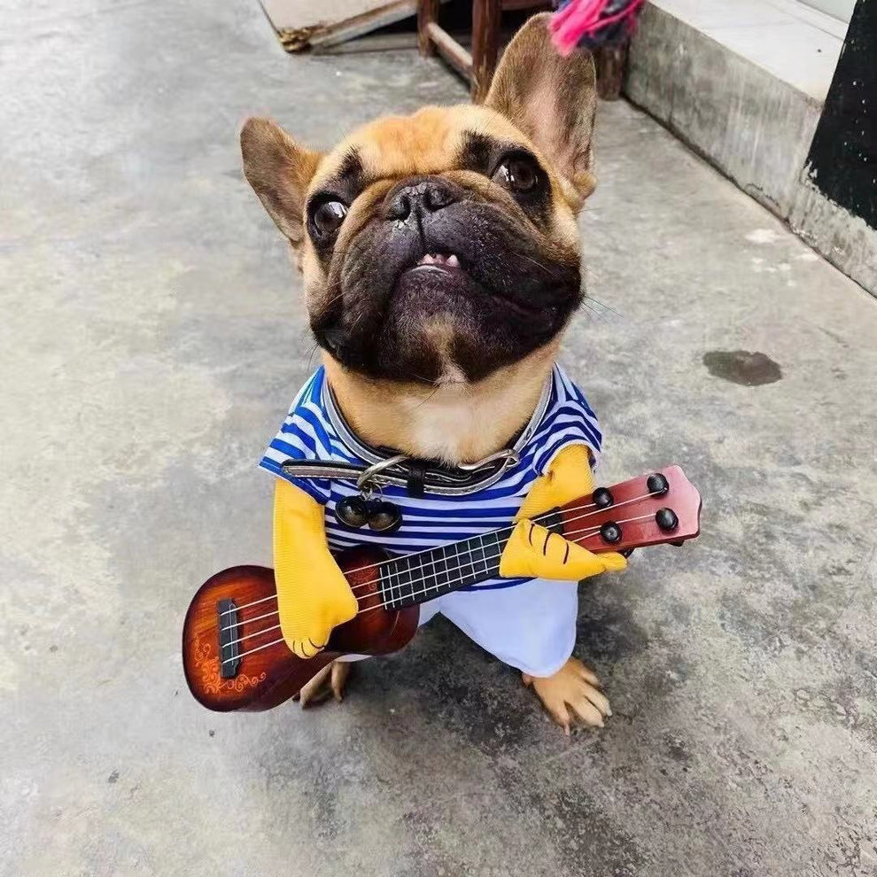 french-bulldog-costumes-sweetest-halloween-costumes-pug-dog-costume