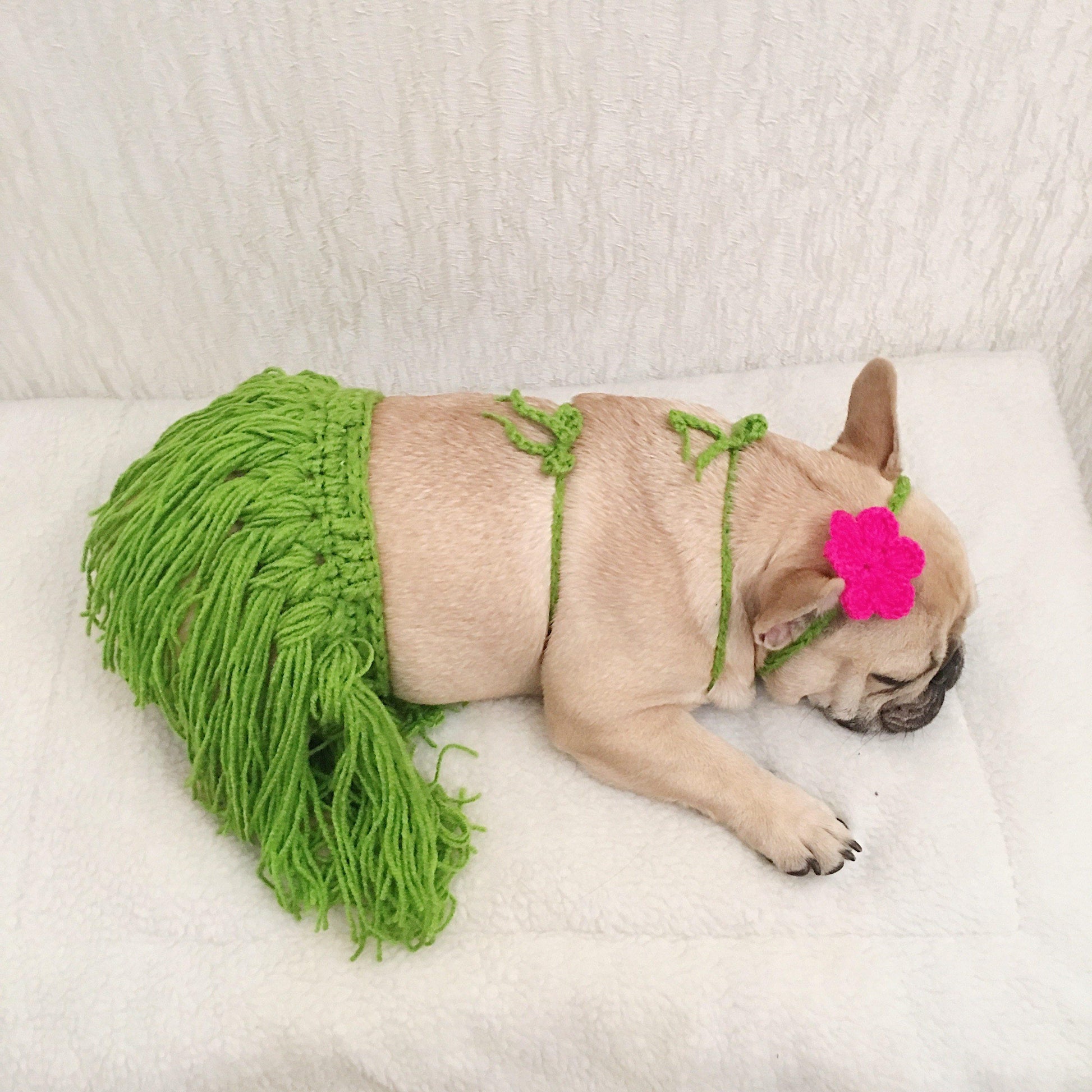 best french bulldog halloween costumes bikini costume - Frenchiely