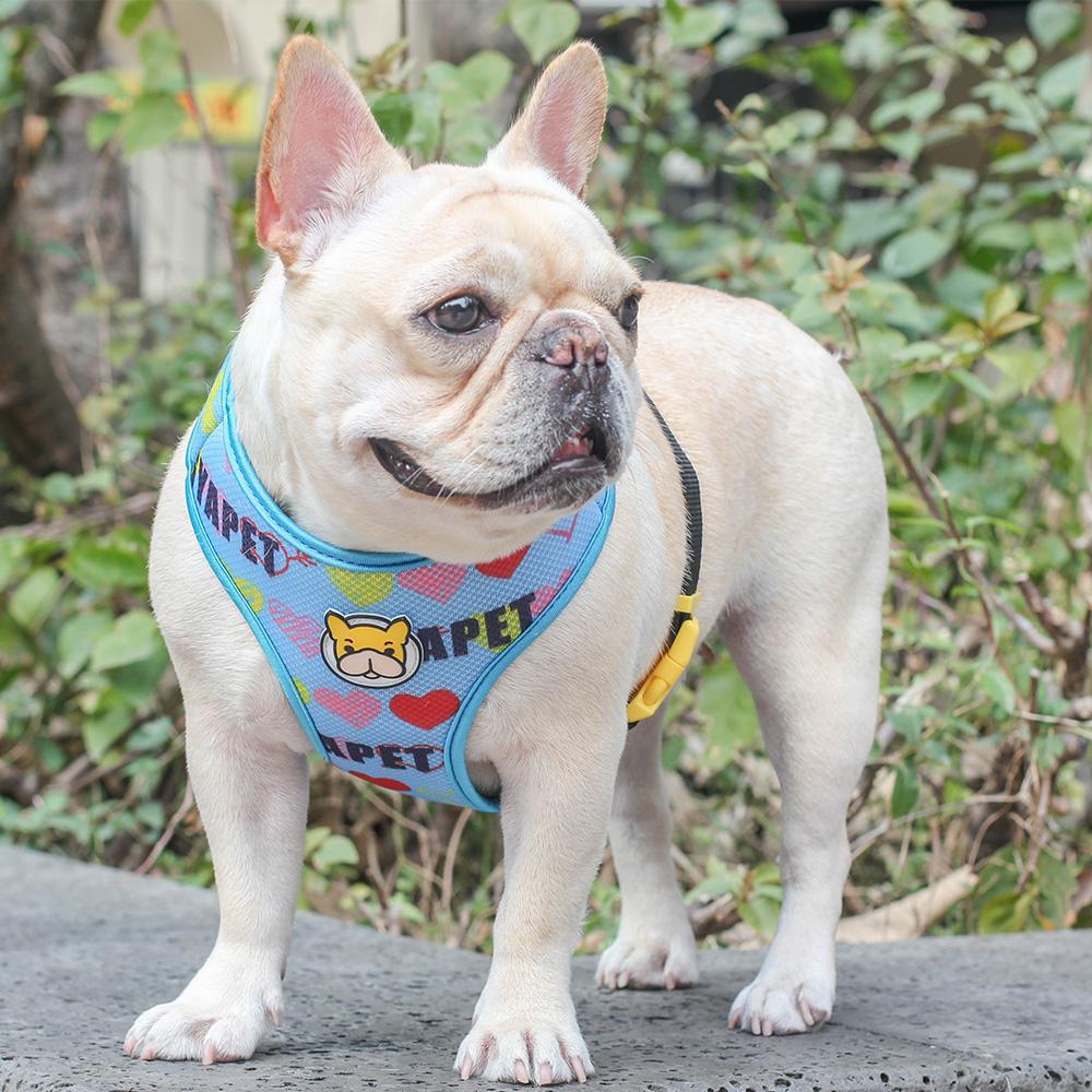 Dog Mesh Vest Harness with Cartoon French Bulldog Print - Frenchiely