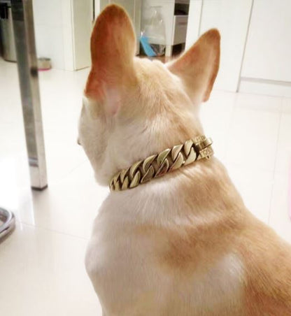 Dog Stainless Steel Bulldog Collar Chain - Frenchiely