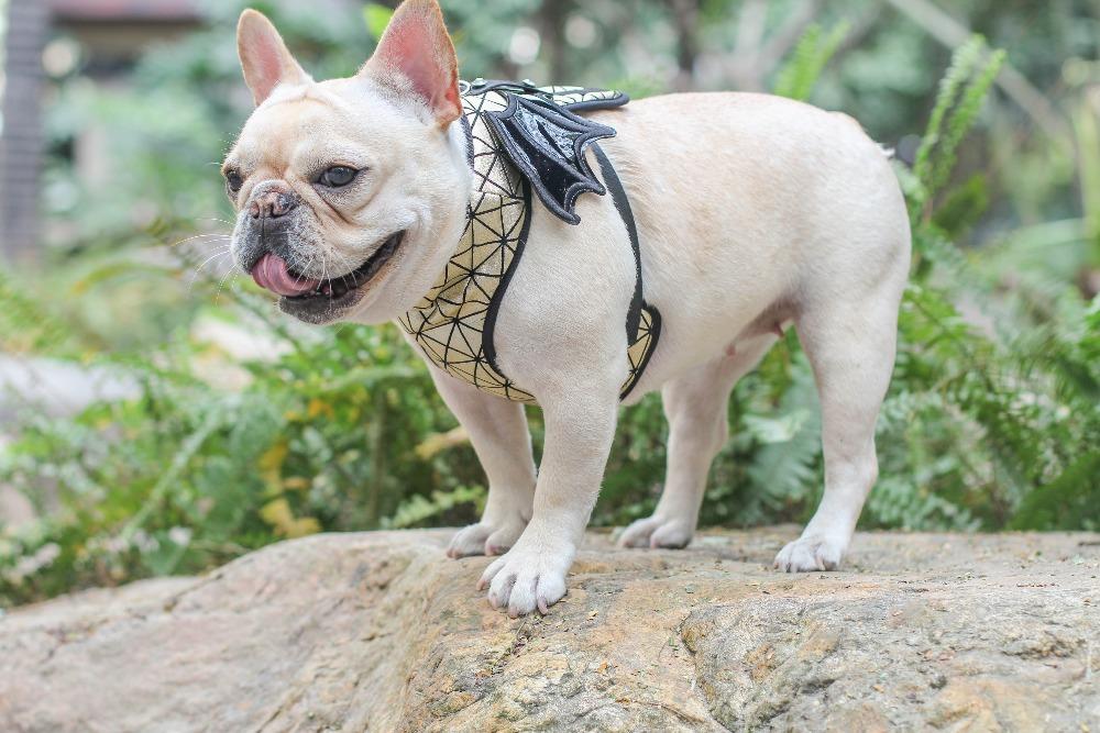 batman dog harness for french bulldogs reflective no pull dog