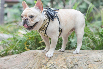 batman dog harness for french bulldogs - Frenchiely