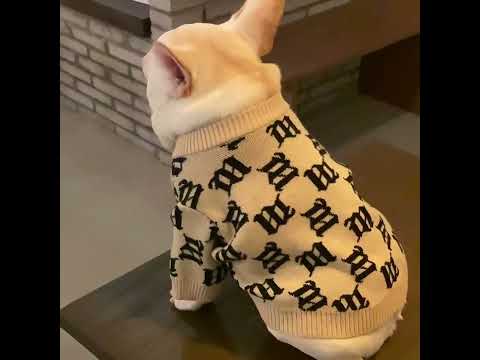 Dog winter stylish beige pullover sweater jumpers by Frenchiely