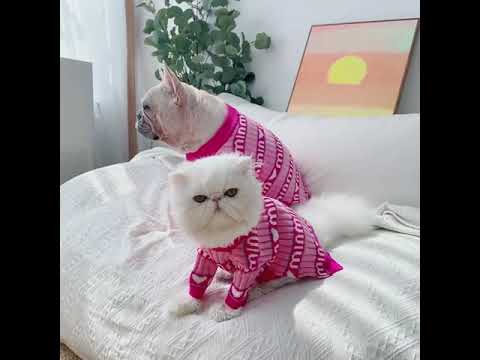 Dog Sweet Pink Pullover Sweater for Medium Dogs by Frenchiely
