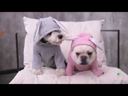 Cute Dog Hooded Sweatshirt with Bunny Ears by Frenchiely 