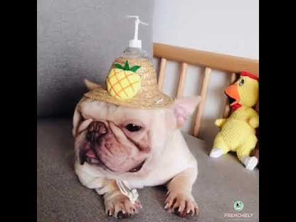 Dog Spinning Straw Hat
