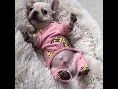 Dog Banana Pajamas