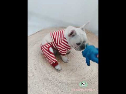 Puppy Winter Stripe Pajamas