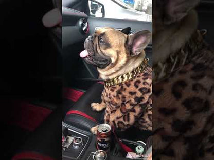 Leopard Coat with Gold Chain( no Pendant)