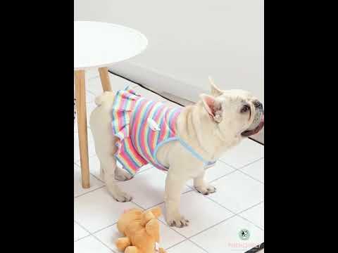 Fancy Dog Dresses for French Bulldogs by Frenchiely