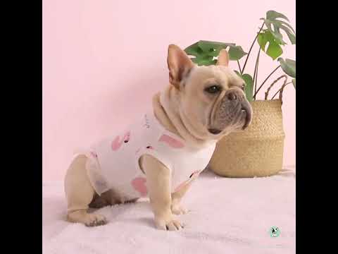Fancy Flexible Dog Flamingo Dress for Bulldogs by Frenchiely 