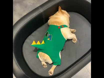 Dinosaurs Costume Overalls