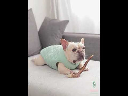Dog Winter Jacket Vest for Frenchies by Frenchiely.com