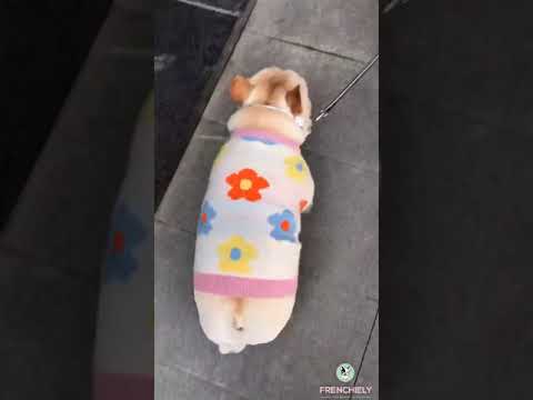Floral Warm Bulldog Sweaters for Dogs by Frenchiely.com