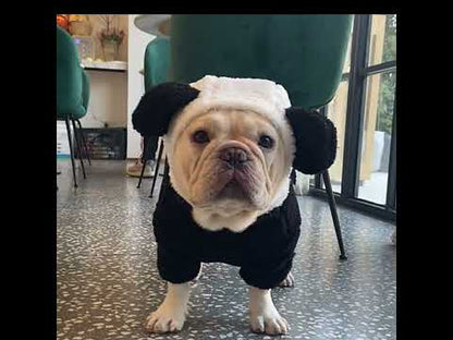 French Bulldog Panda Costume by Frenchiely