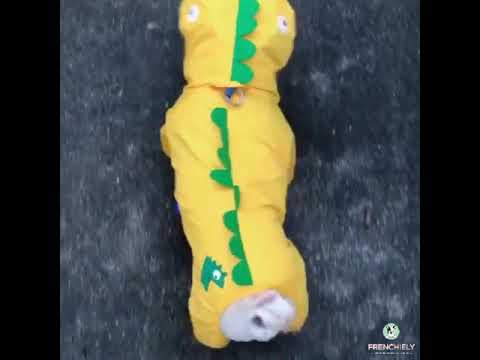 Cartoon Dog Dinosaur Waterproof Rain Jacket Coat by Frenchiely