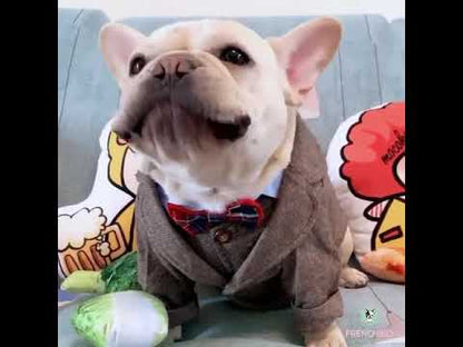 Dog Khaki Formal Suit Coat for French Bulldogs by Frenchiely