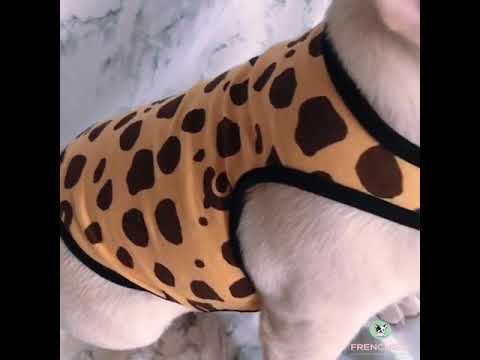 Dog Leopard Summer Mesh Shirt by Frenchiely 